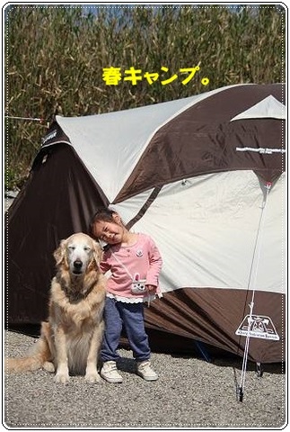 ブログFILE0062.CHK-s-20161231こぴ.jpg