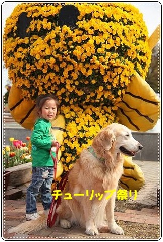 ブログFILE0229.CHK-s-20161231こぴ.jpg
