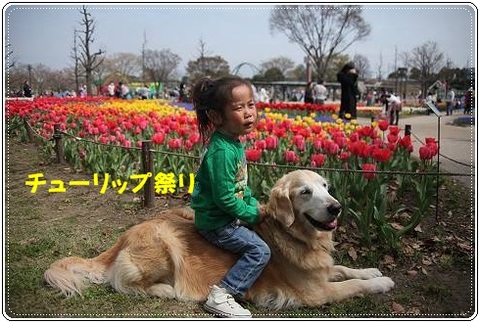 ブログFILE0253.CHK-s-20161231こぴ.jpg