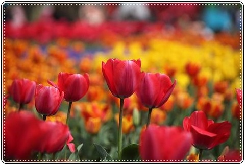 ブログFILE0580.CHK-s-20161231こぴ.jpg