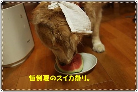 ブログFILE0648.CHK-s-20161231こぴ.jpg