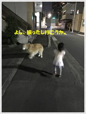 ブログIMG_1003-s-20170629こぴ.JPG